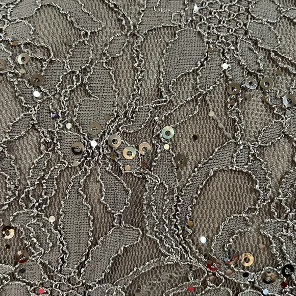 Windsor Mermaid Dress Size 3/4 (Small)
Gray Sequin Lace Maxi Prom wedding - Picture 5 of 7